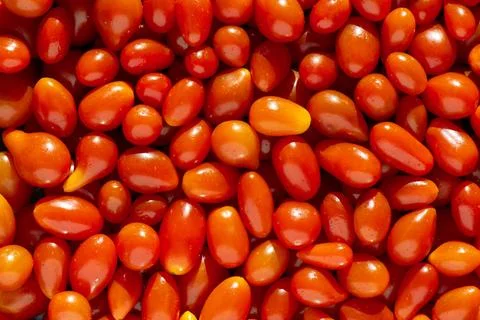 Background of small red tomatoes Stock Photos