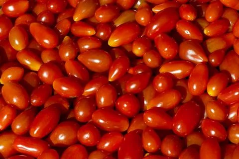 Background of small red tomatoes Stock Photos