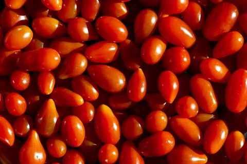 Background of small red tomatoes Stock Photos
