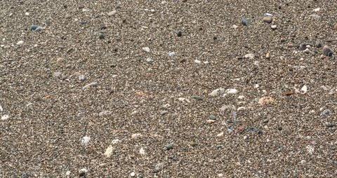 Background with small sea pebbles Stock Photos