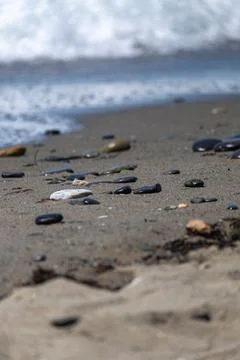 Background of small stones by the beach with shell Stock Photos
