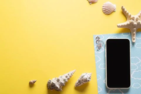 A background with a smartphone, glasses, a blank notepad and leaves and shell Stock Photos