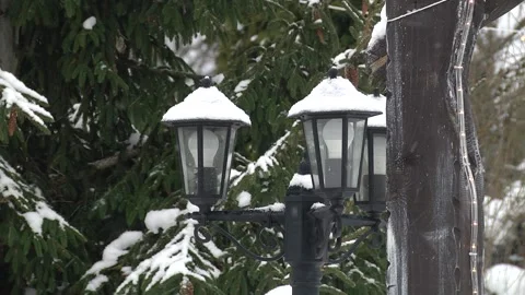 On the background of a snow-covered Christmas tree, prominent street lamps 動画素材 104942640