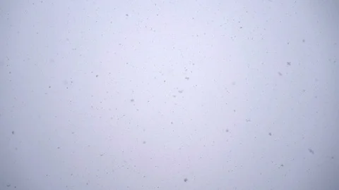 Background of snow fall blowing fast in winter blizzard Stock-Footage 126372389