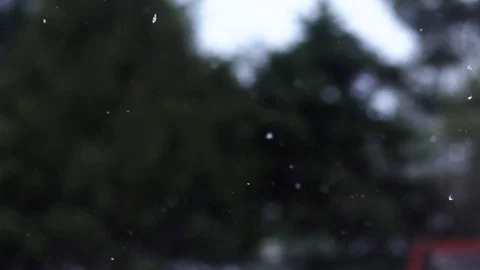 Background of snow falling in and out of focus Stockbeeldmateriaal 77814259