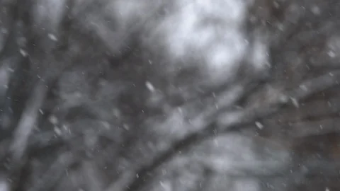 Background of snow falling in slow motion, over trees Video stock 89442964