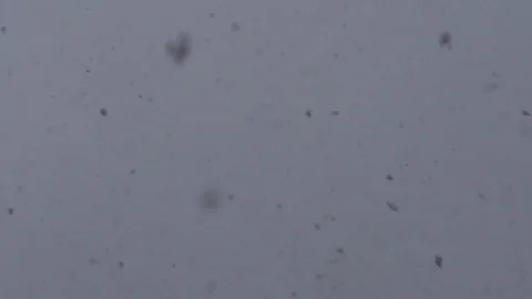 Background of snow falling in slow motion, over white background Stockbeeldmateriaal 89443105