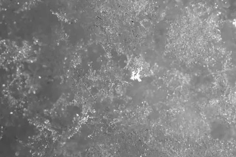 Background of the snow. macro Stock Photos