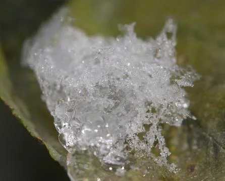 Background of the snow. macro Stock Photos