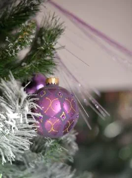 Background with a snowy pine tree and Christmas purple ornamated ball. Stock Photos