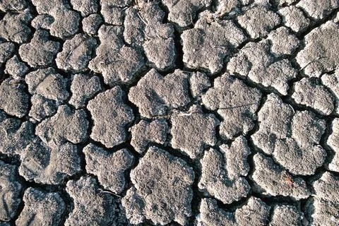 Background soil cut by drought Stock Photos