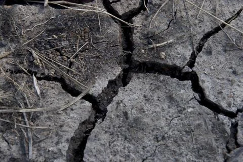 Background of the soil Stock Photos
