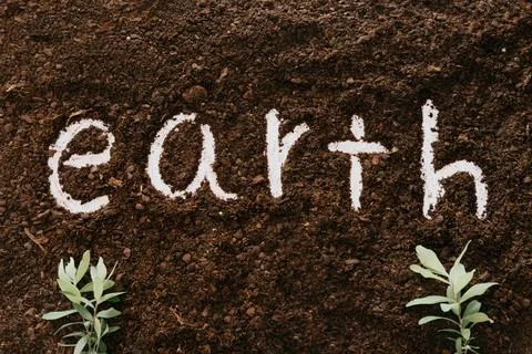 Background of soil with the word earth written in it and two plants 库存插图
