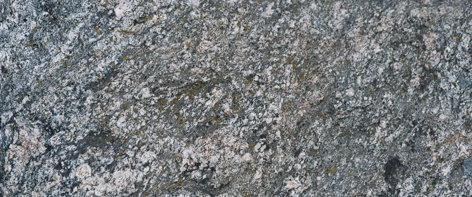 The background is solid gray granite as a screensaver or wallpaper. Foto stock
