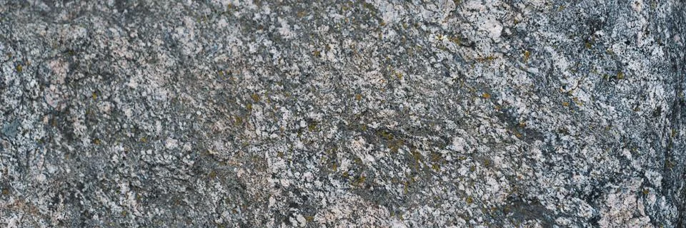 The background is solid gray granite as a screensaver or wallpaper. Stock Photos