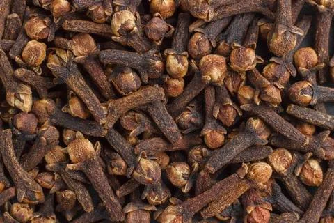 Background of spice cloves Stock Photos