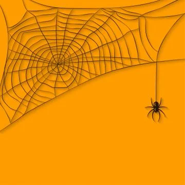 Background with spider web Stock Illustration