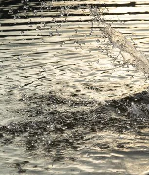Background with splashes and drops of water in the lake, river or sea. Stock Photos