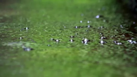 Background of splashing water bubbles in the pool 스톡 동영상 259076015