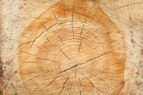 Background of split wood Stock Photos