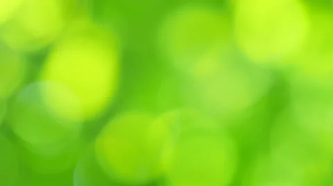 Background, spring, bokeh Stock Footage 53828338