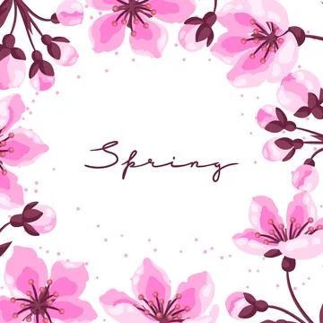 Background with spring flowers. Apple, sakura or cherry blossom. Beautiful .. Stock Illustration
