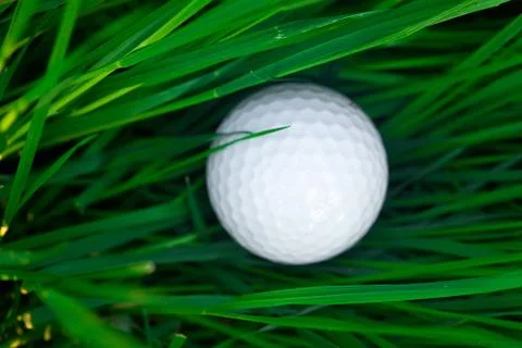 Background of spring green grass and golf ball Stock Photos