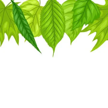 Background with spring leaves. Beautiful decorative foliage. Stock Illustration