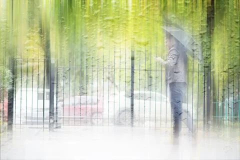 Background spring rain in the park Stock Photos