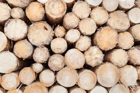 Background stack of wood Foto stock