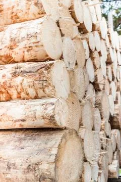 Background stack of wood Stock Photos