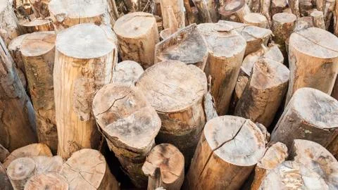 Background stack of wood Stock Photos