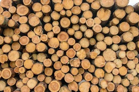 Background from stacked logs close up Stock Photos