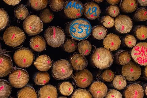 Background of stacked logs in the forest. Stock-Fotos