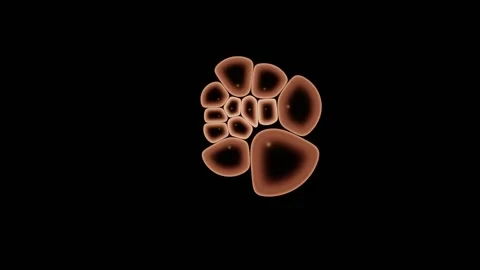 Background Stain Washes Out Leaving Clean Signal Stock-Footage 344513166