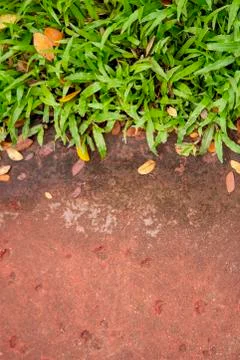 Background of stone footpath and grass Stock Photos
