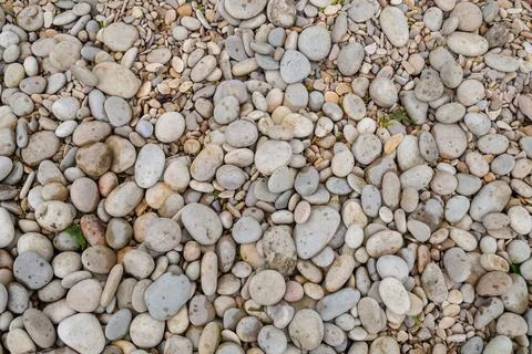 Background stone gray, round pebbles, bank of a mountain river close-up Stock Photos