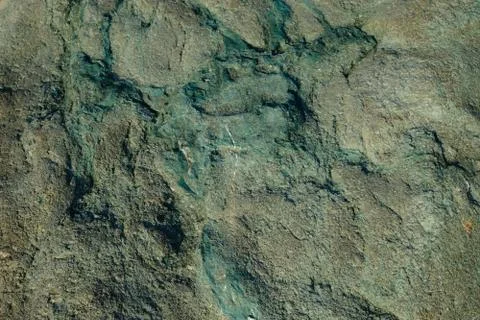Background from a stone of igneous rock Stock Photos