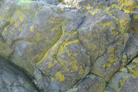 Background from a stone of igneous rock Stock Photos