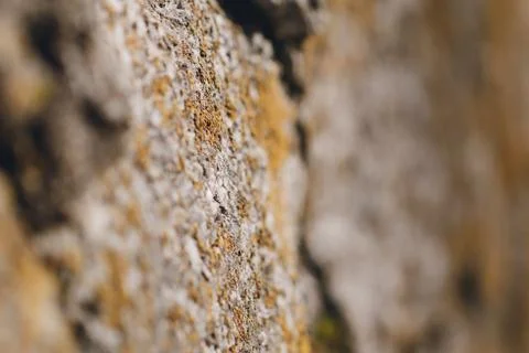 Background from a stone medieval hedge. Macro photography. Selective focus Stock Photos