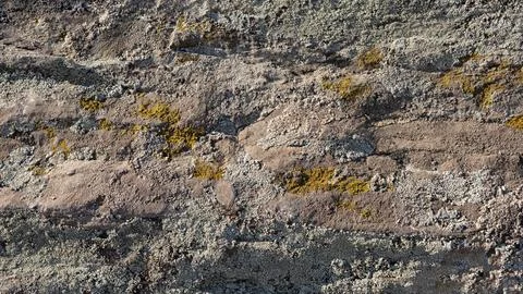 Background of a stone surface with cracks and covered with different types .. Stock Photos