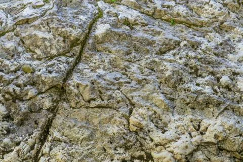 Background of stone texture with moss. Close up image. Stock Photos