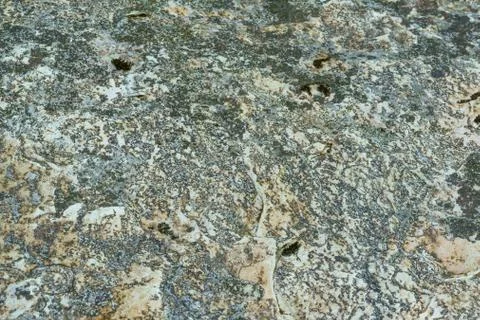 Background of stone texture with moss. Close up image Foto stock