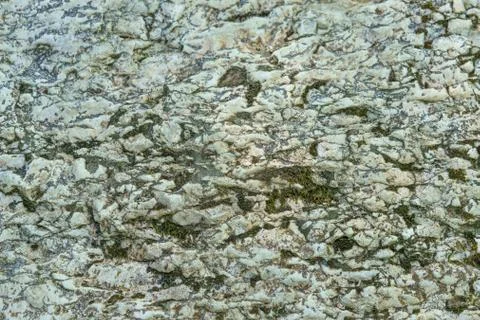 Background of stone texture with moss. Close up image. Stock Photos