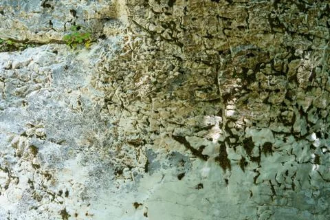 Background of stone texture with moss. Close up image Stock Photos