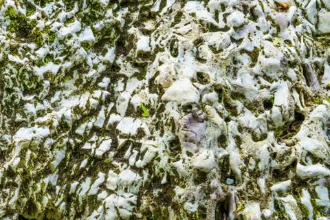 Background of stone texture with moss. Close up image. Stock Photos