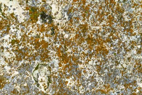 Background of stone texture with moss. Close up image. Stock Photos