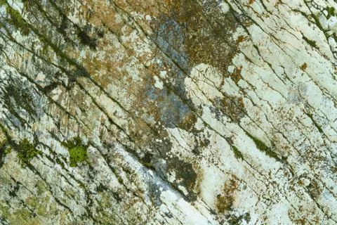 Background of stone texture with moss. Close up image Stock Photos