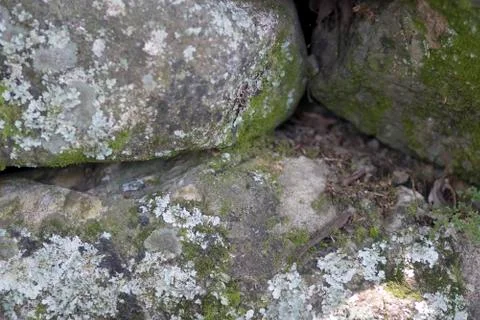 Background of stone texture Stock Photos