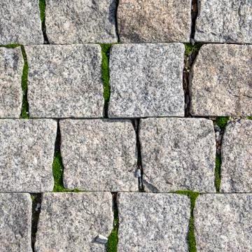 The background of the stone wall is gray, where moss grows Stock Photos